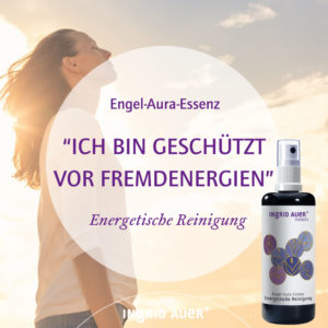 Abbildung AE Reinigung Ingrid Auer