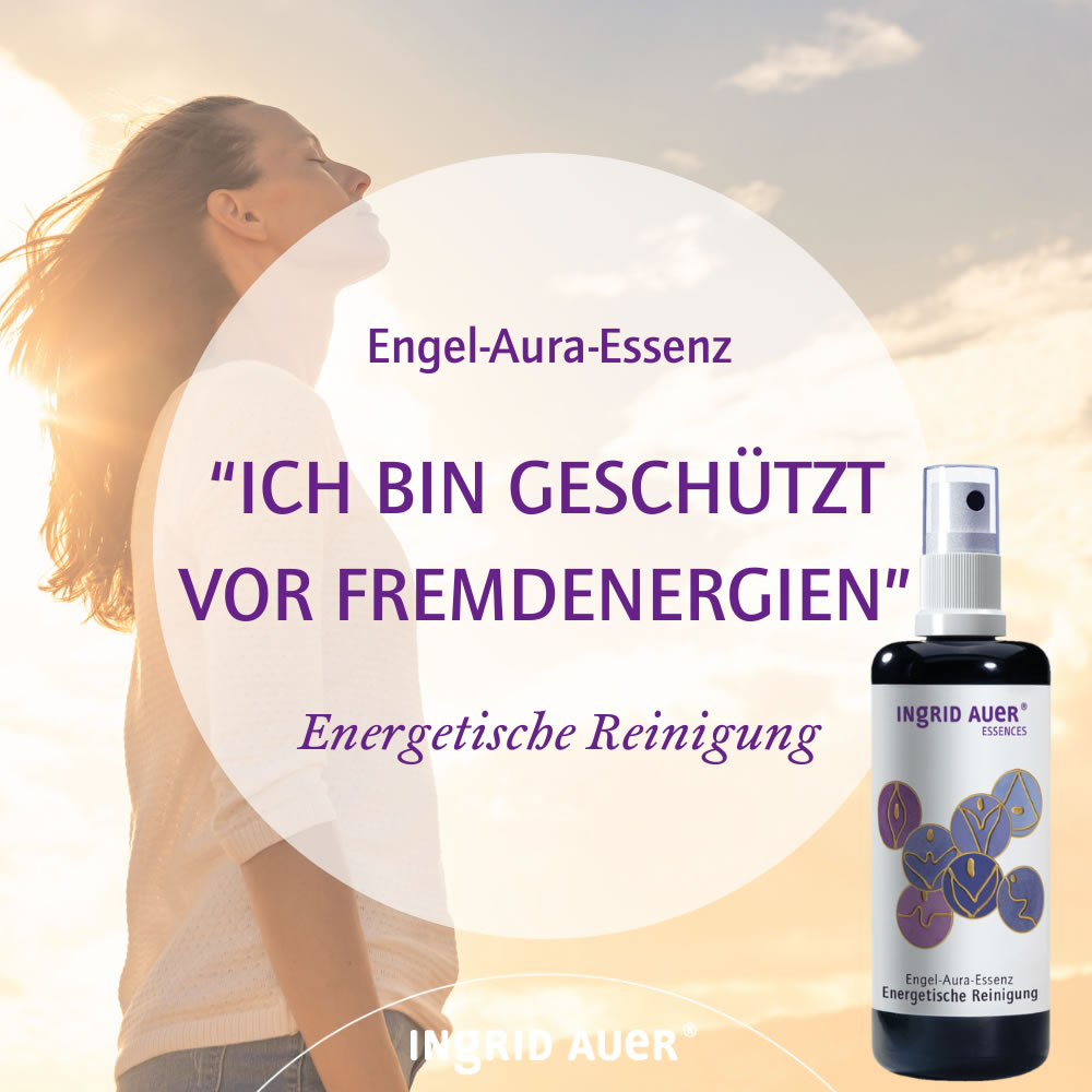 Abbildung AE Reinigung Ingrid Auer