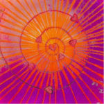 1300-490-U-bellemann-beitragsbild